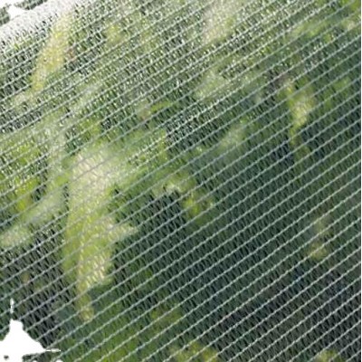 Plastic mesh for insect netting for fruit trees/protect nets for fruit trees