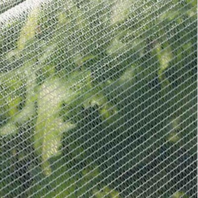 HDPE plastic warp knitted farm Anti bee net