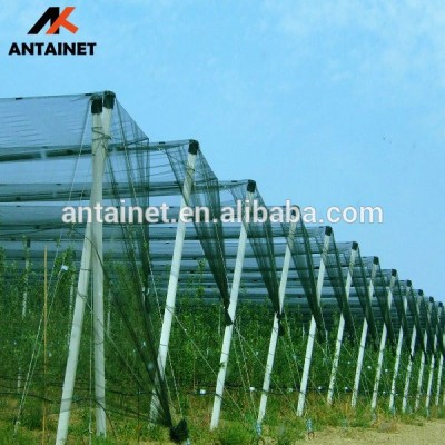 Hail Guard plastic Hail protection Fruit tree netting