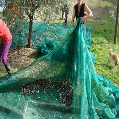 HDPE monofilament olive harvesting mesh net supplier made in China