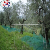 garden Virgin Material HDPE olive net